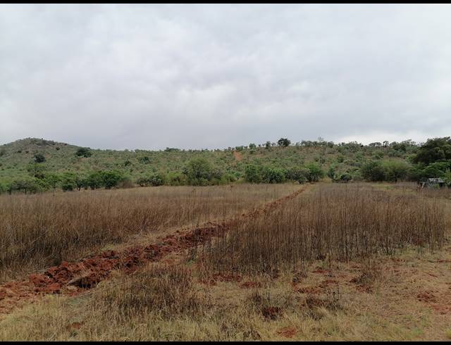21HA FARM FOR SALE IN MOOINOOI
